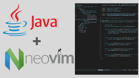Java in Neovim